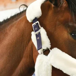 Equithème - Licol de transport Teddy marine/ écru