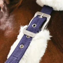 Equithème - Licol de transport Teddy marine/ écru