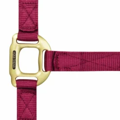 Equithème - Licol en nylon bordeaux
