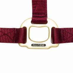 Equithème - Licol en nylon bordeaux