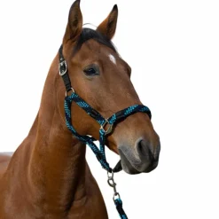Equithème - Licol et longe tressé turquoise/ marine/ noir