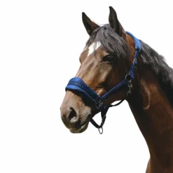 Equithème - Licol Nylon 3D Mesh bleu roi