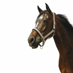 Equithème - Licol Nylon Jacquard taupe