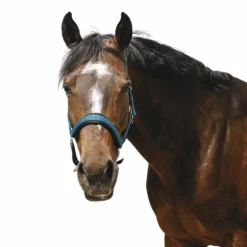 Equithème - Licol Nylon Jacquard bleu canard