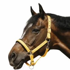 Equithème - Licol Nylon Jacquard or