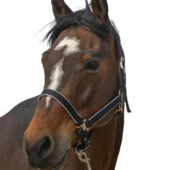 Equithème - Licol nylon Light noir