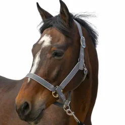 Equithème - Licol nylon Light gris