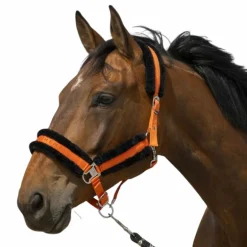 Equithème - Licol nylon Mouton orange/ noir