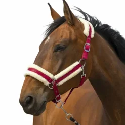 Equithème - Licol nylon Mouton bordeaux/ blanc