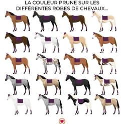 Equithème - Tapis de dressage Satin prune