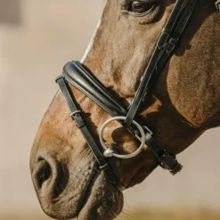 Eric Thomas - Bridon bat noir