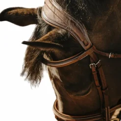 Eric Thomas - Bridon Crown havane