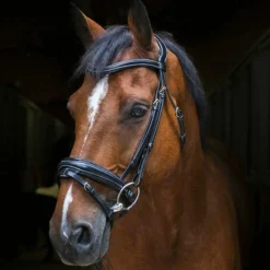 Eric Thomas - Bridon Design noir