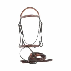 Eric Thomas - Bridon hybrid forme havane