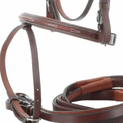 Eric Thomas - Bridon hybrid forme havane