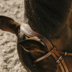 Eric Thomas - Bridon Visby havane