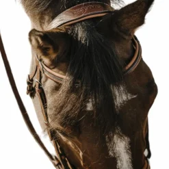 Eric Thomas - Bridon Work havane