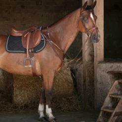 Eric Thomas - Collier de chasse Hybrid havane