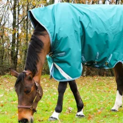 Eric Thomas - Licol cuir Grooming havane