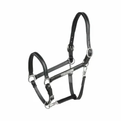 Eric Thomas - Licol cuir Grooming noir