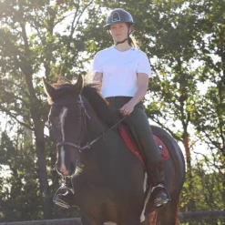 Eric Thomas - Muserolle bitless havane