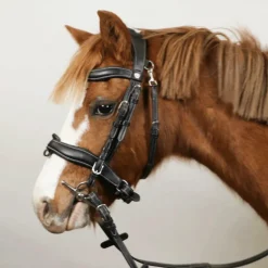 Flags & Cup - Bridon Comfort combiné avec rênes noir