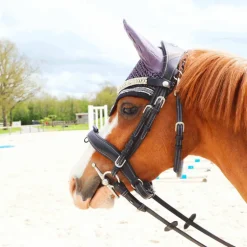 Flags & Cup - Bridon Comfort combiné avec rênes noir
