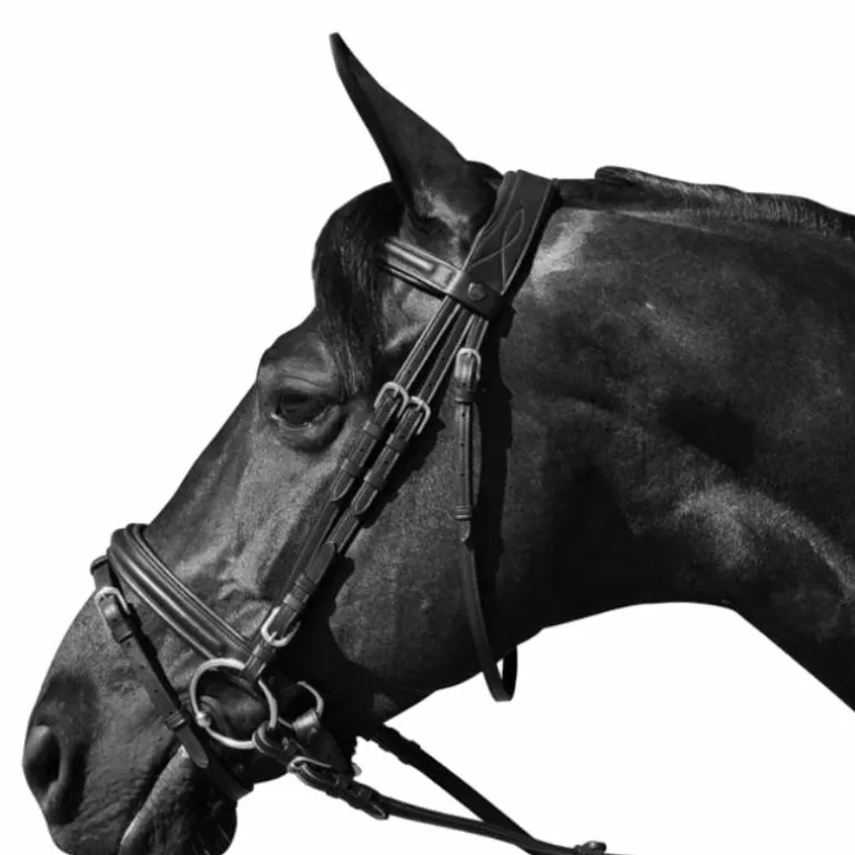 Flags & Cup - Bridon Hickstead avec rênes noir