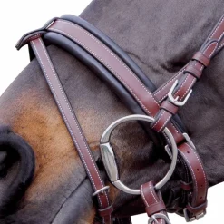 Flags & Cup - Bridon Madrid marron