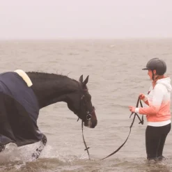 Flags & Cup - Bridon Oslo avec rênes marron