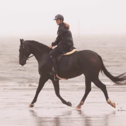 Flags & Cup - Bridon Oslo avec rênes marron