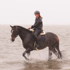 Flags & Cup - Bridon Oslo avec rênes marron