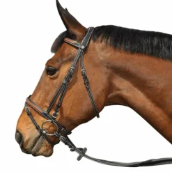 Flags & Cup - Bridon Oslo avec rênes noir