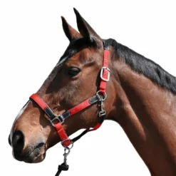 Flags & Cup - Licol cheval nylon et cuir noir / rouge