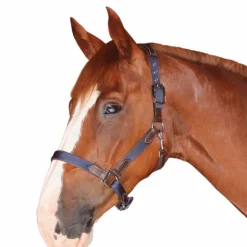 Flags & Cup - Licol cheval nylon et cuir marron / marine