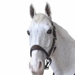 Flags & Cup - Licol cheval Cuir Paris marron/marine