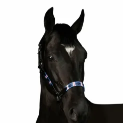 Flags & Cup - Licol Chukka noir / marine / blanc / rouge