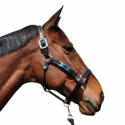 Flags & Cup - Licol Chukka noir / marine / ciel