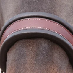 Flags & Cup - Licol Comfort marron