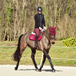 Freejump - Étriers Soft'Up Pro + Silver Noir / Argent