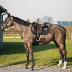 GEM - Tapis de selle Leo noir