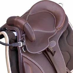 Guy Cantin - Selle éducative Evolution havane