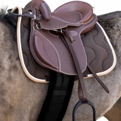 Guy Cantin - Selle éducative Evolution havane