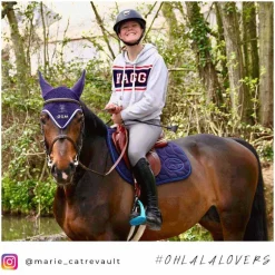 Hagg - Sweat hoodie à capuche gris