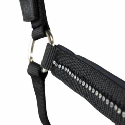 Harcour - Ensemble licol et longe Amour noir