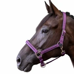 Harcour - Ensemble licol et longe Amour figue