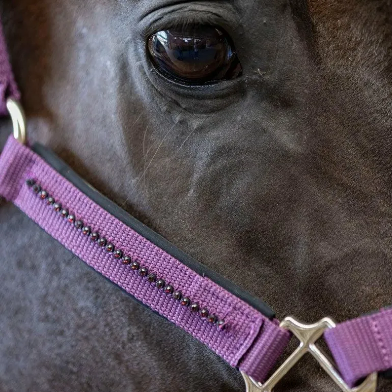 Harcour - Ensemble licol et longe Amour figue