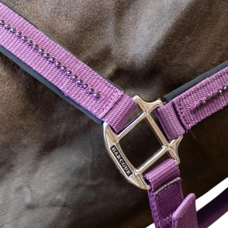 Harcour - Ensemble licol et longe Amour figue