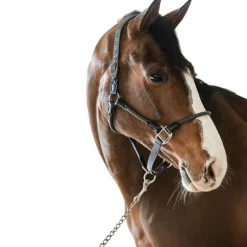 Harcour - Licol pour chevaux Honey gris foncé