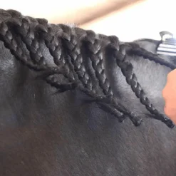 Hippotonic - 450 élastiques silicone noir